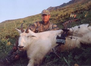 Mountain Goat img