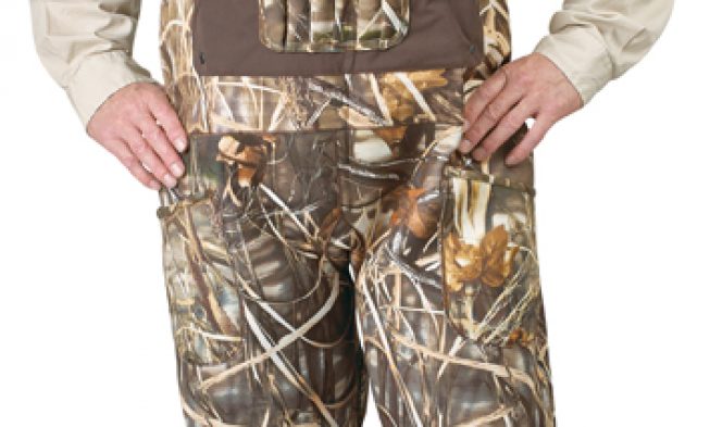 Apparel, Footwear and Accessories img