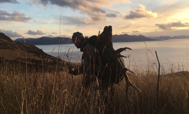 Raspberry Island Elk Hunt img