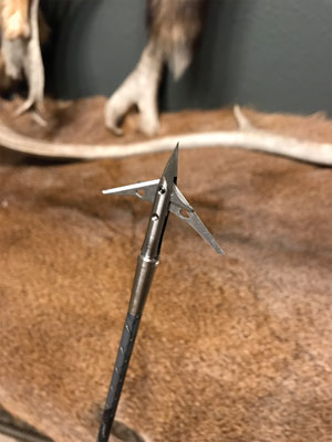 Sevr Broadheads