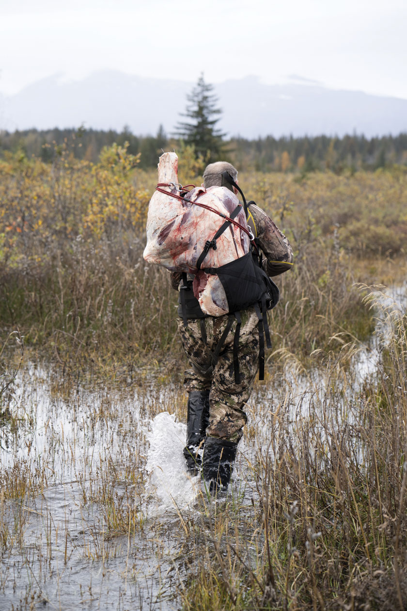 packing moose meat