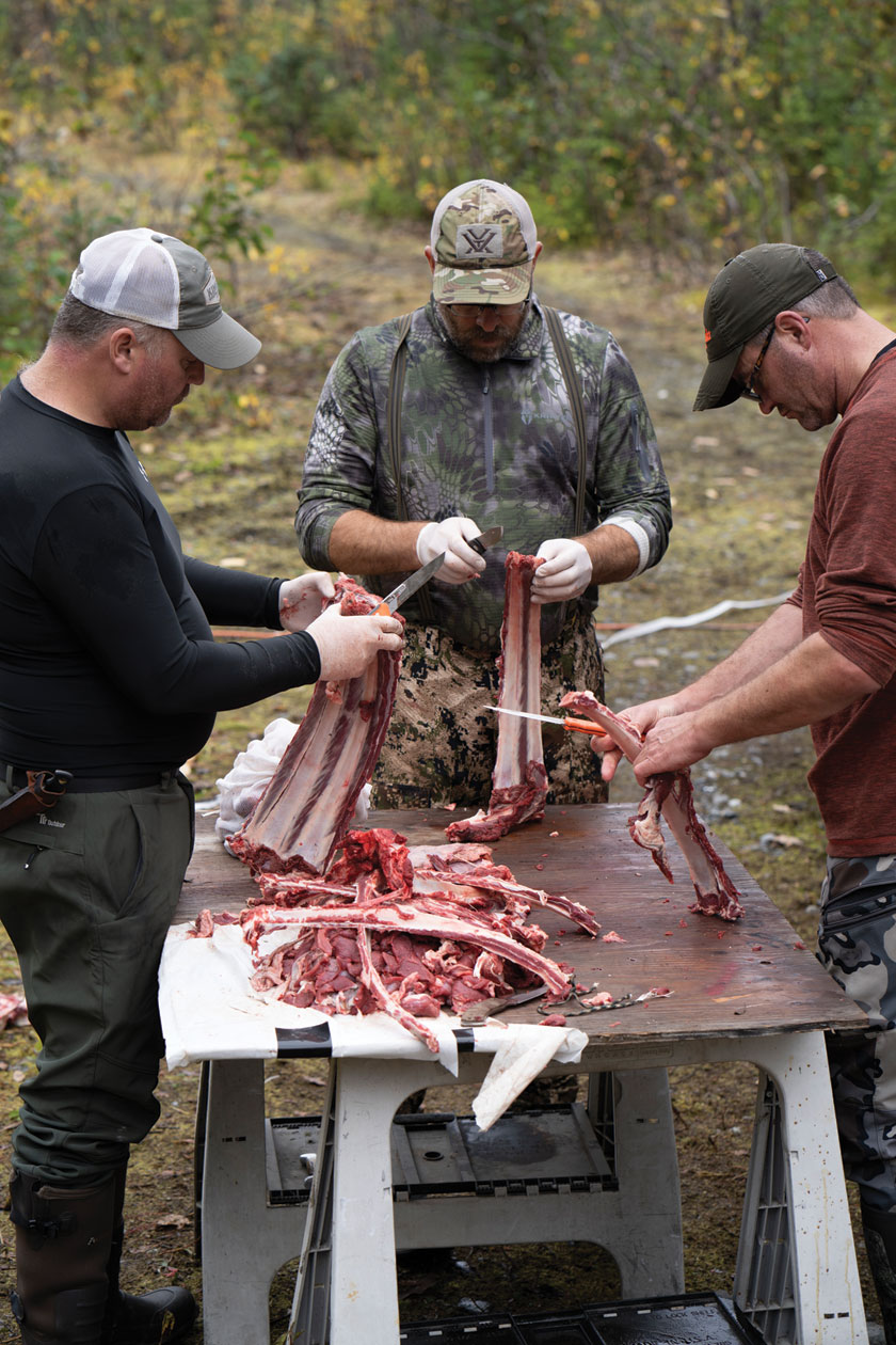 processing moose meat