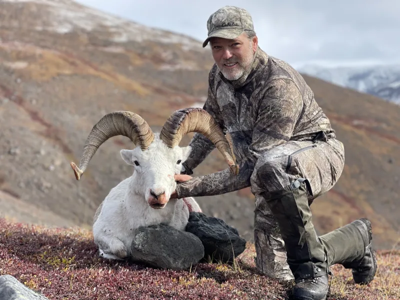 Alaska Dall Sheep Hunt