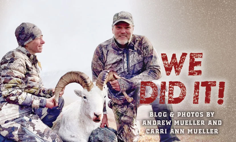 Alaska Dall Sheep Hunt