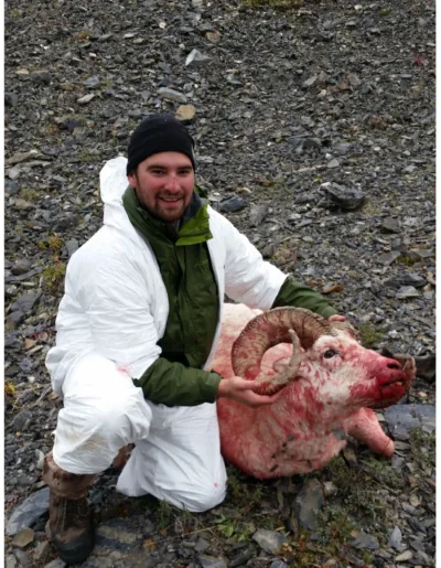 ram hunting