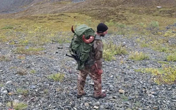 ram hunting