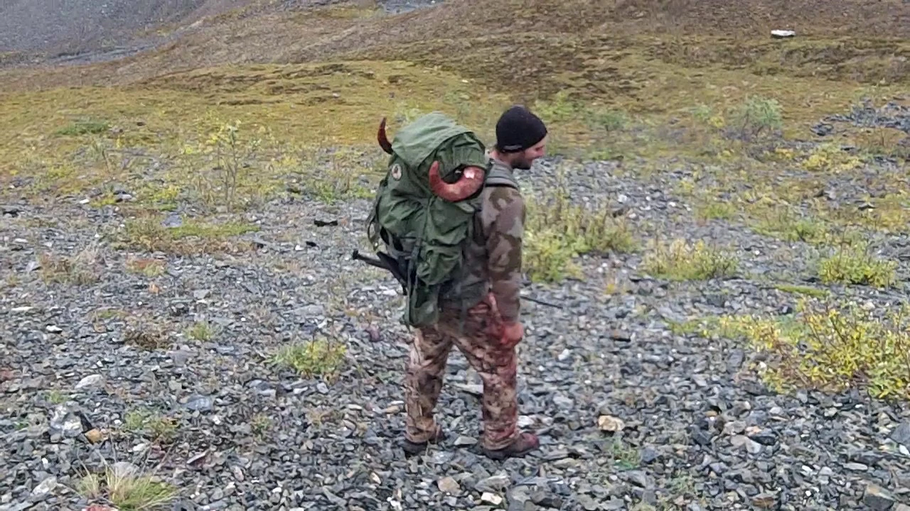 ram hunting