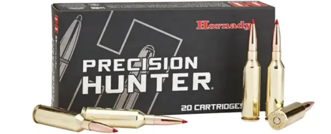 Best Hunting Ammunition