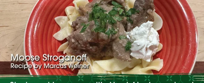 moose stroganoff