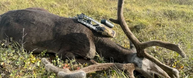 hardest alaska bowhunts