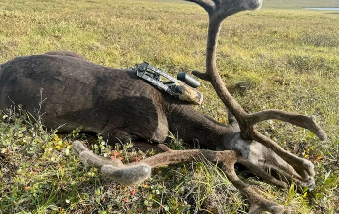 hardest alaska bowhunts